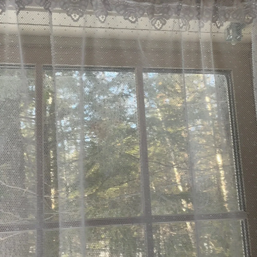 White Lace Goose Pattern Curtain